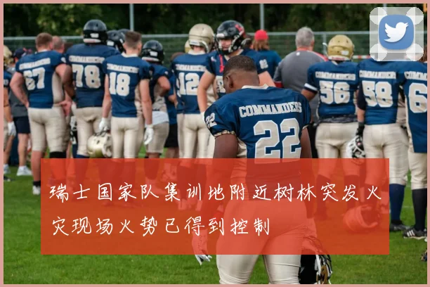 瑞士国家队集训地附近树林突发火灾现场火势已得到控制