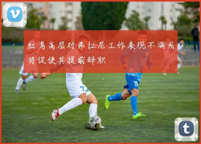红鸟高层对弗拉尼工作表现不满或将促使其提前辞职