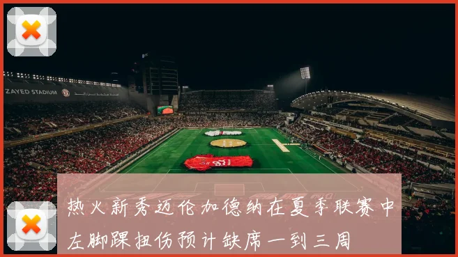 热火新秀迈伦加德纳在夏季联赛中左脚踝扭伤预计缺席一到三周